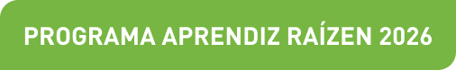 Programa Aprendiz Raízen 2026